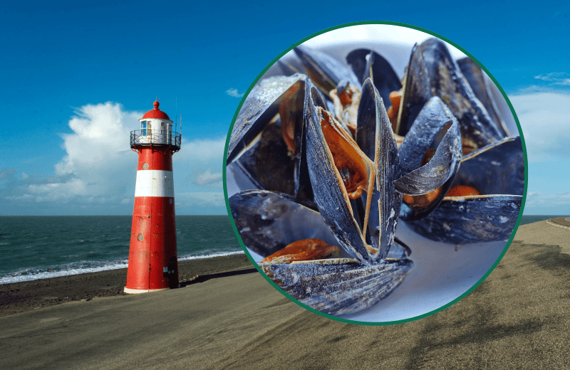 Sommer in Zeeland genießen