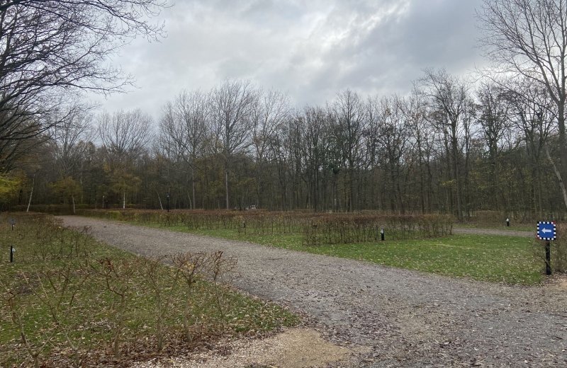 Camperplaats op gras 3