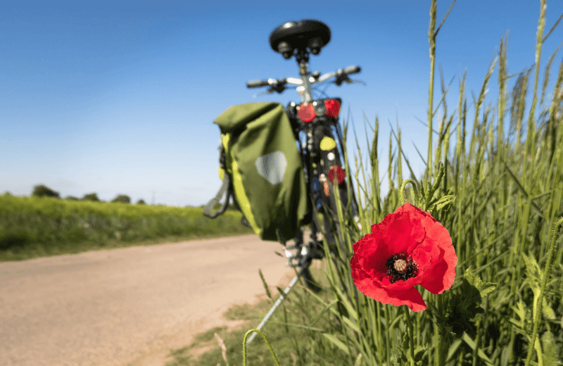 Fahrradtour entlang des Veerse Meers