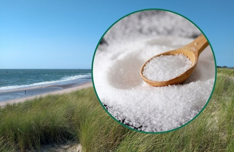 Das Salzwerk in Zeeland besuchen